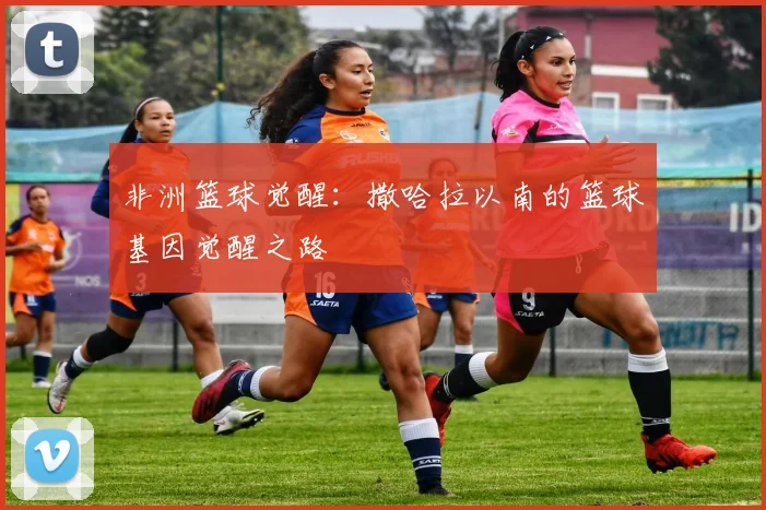 非洲篮球觉醒：撒哈拉以南的篮球基因觉醒之路