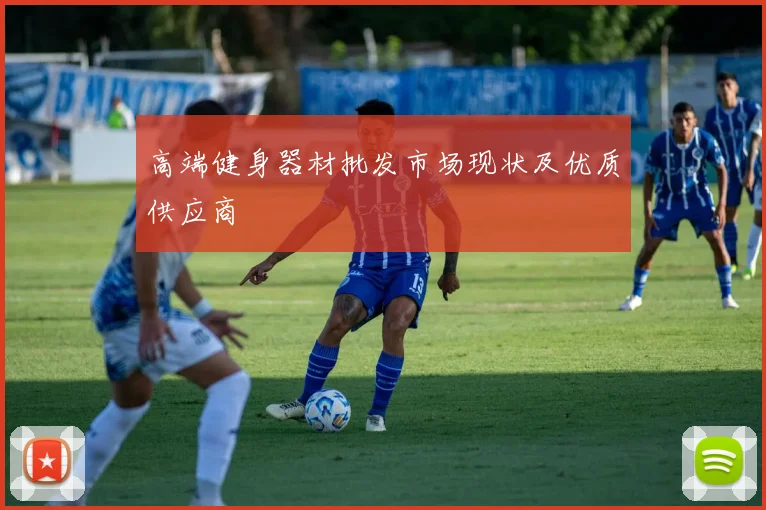 高端健身器材批发市场现状及优质供应商